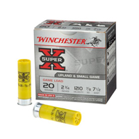 20 Gauge Ammo