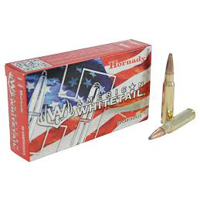 243 Win Ammo