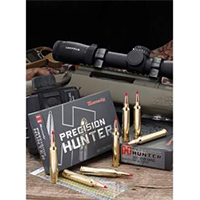30-378 Wby Mag Ammo