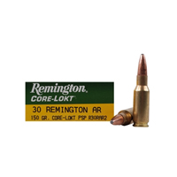 30 Rem AR Ammo