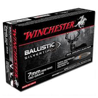300 WSM Ammo