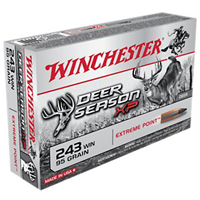 300 Win Mag Ammo
