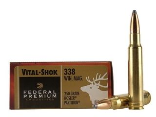 338 Win Mag Ammo