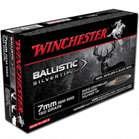 45-70 Ammo